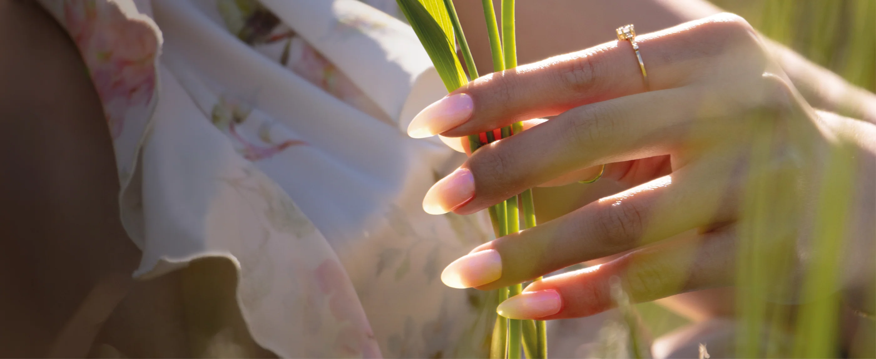 Ethical Beauty, Elevated Care